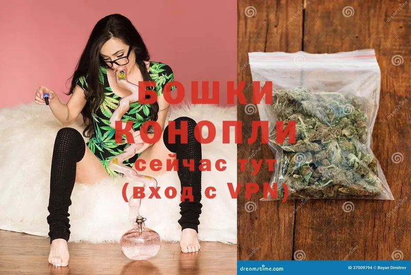 Конопля Ganja  Нальчик 